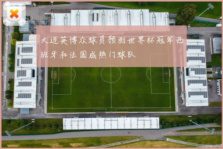 大连英博众球员预测世界杯冠军西班牙和法国成热门球队