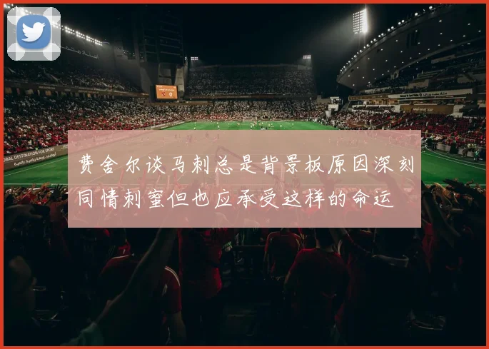 费舍尔谈马刺总是背景板原因深刻同情刺蜜但也应承受这样的命运