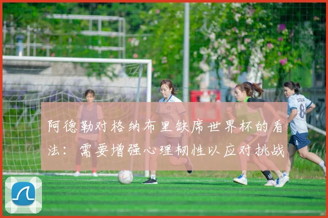阿德勒对格纳布里缺席世界杯的看法：需要增强心理韧性以应对挑战