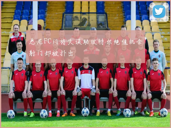 悉尼FC门将失误助攻特尔绝佳机会射门却被扑出
